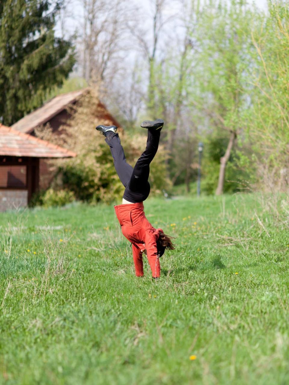 Somogy Kertje Ueduelofalu Es Etterem Bonnya Exterior foto